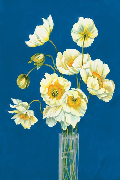 Liz Jardine: Ice Poppies by Liz Jardine