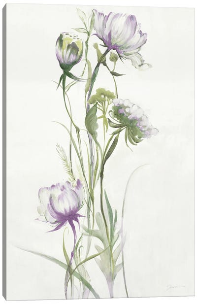 Late Summer Wildflowers I Canvas Art Print - Liz Jardine
