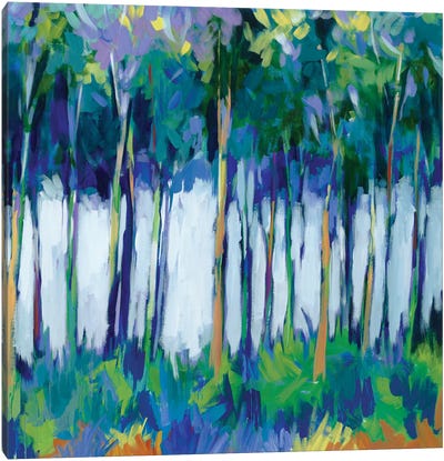 Light Through The Trees Canvas Art Print - Liz Jardine