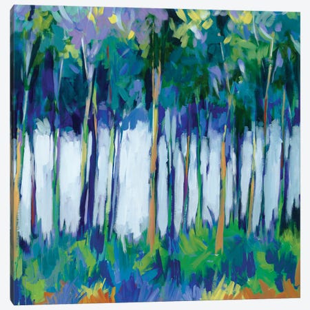 Light Through The Trees Canvas Print #JAR414} by Liz Jardine Art Print