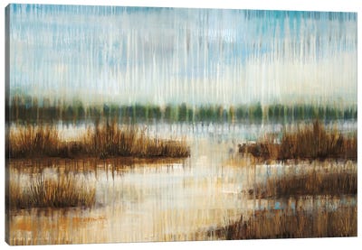 Early Morning Mist Canvas Art Print - Marsh & Swamp Art