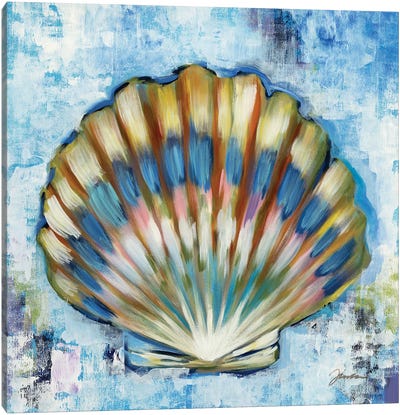 Sunshine Shells I Canvas Art Print - Liz Jardine