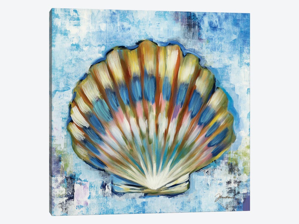 Sunshine Shells I by Liz Jardine 1-piece Canvas Print