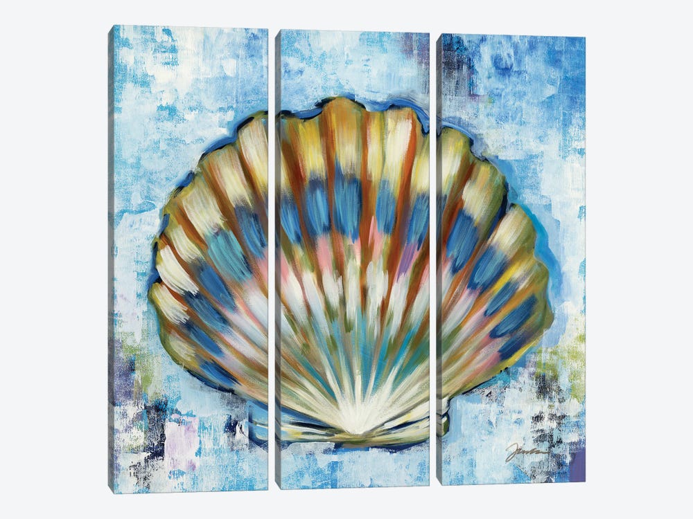 Sunshine Shells I by Liz Jardine 3-piece Canvas Art Print