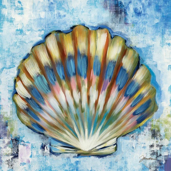 Sea Shells: Sunshine Shells I by Liz Jardine