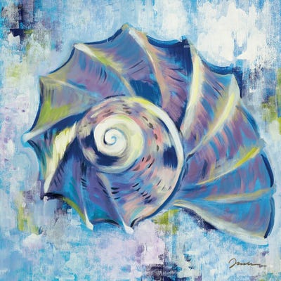 Sunshine Shells II by Liz Jardine art print