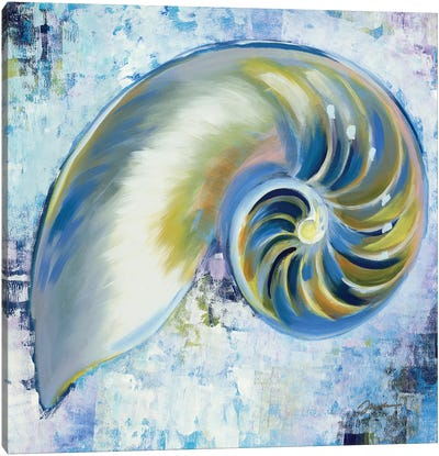Sunshine Shells III Canvas Art Print - Liz Jardine