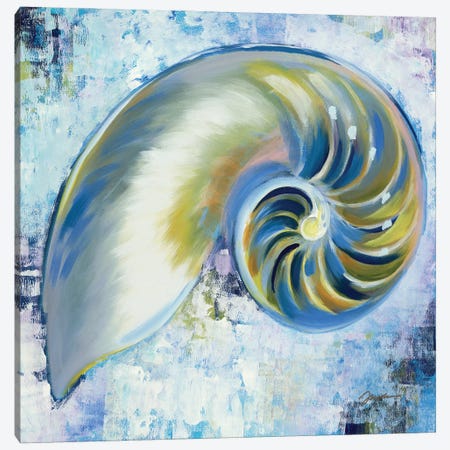Sunshine Shells III Canvas Print #JAR426} by Liz Jardine Canvas Artwork