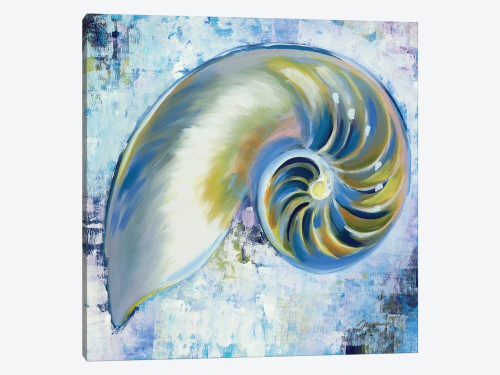 Sunshine Shells III by Liz Jardine 1-piece Canvas Print
