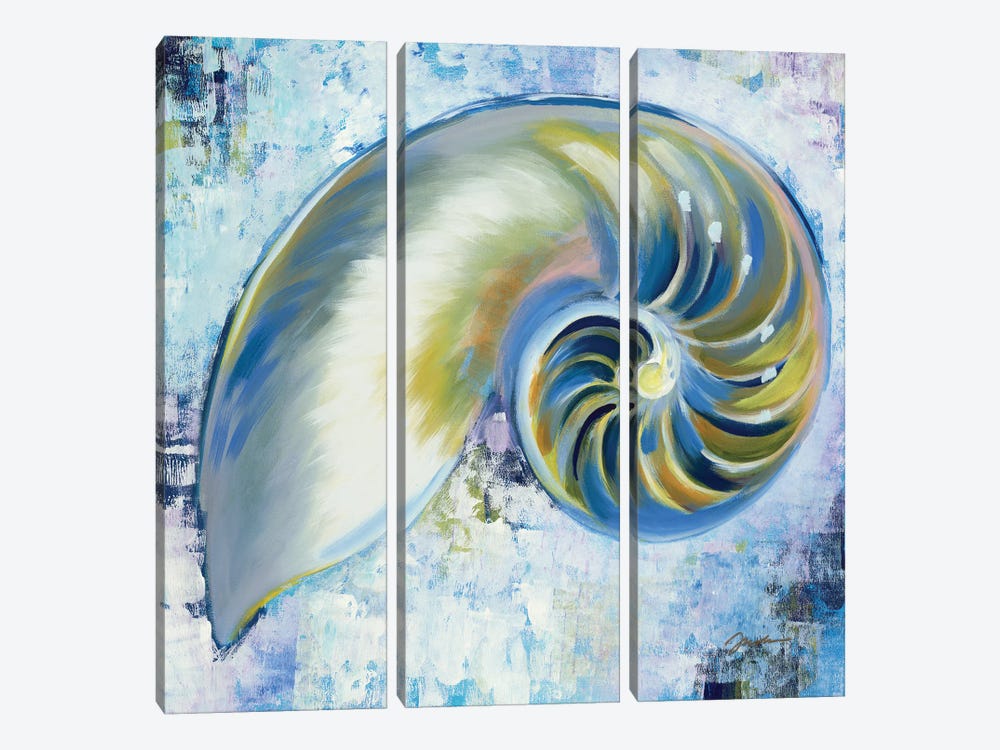 Sunshine Shells III by Liz Jardine 3-piece Canvas Art Print