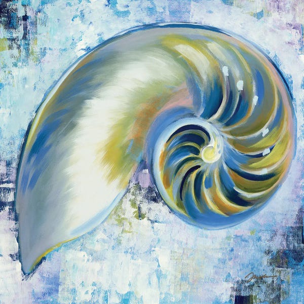 Sea Shells: Sunshine Shells III by Liz Jardine