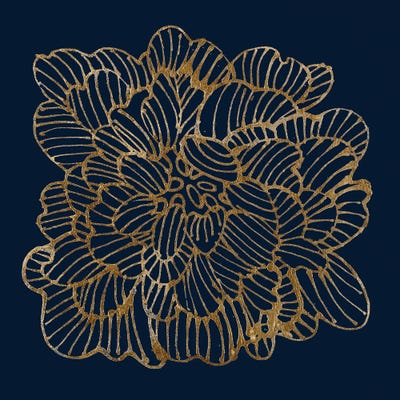 Hide & Seek I by Liz Jardine canvas print