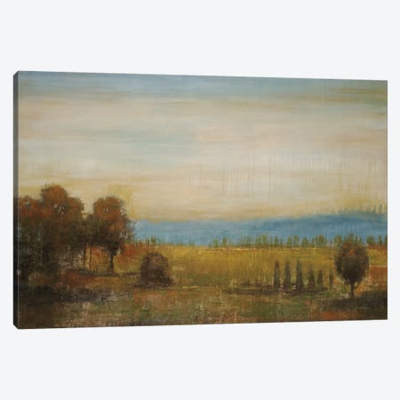 Golden Meadow Canvas Print #JAR62} by Liz Jardine Canvas Art Print