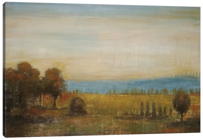 Golden Meadow Canvas Art Print - Liz Jardine