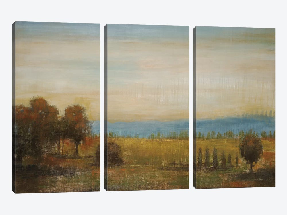 Golden Meadow by Liz Jardine 3-piece Canvas Print