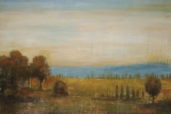 Liz Jardine: Golden Meadow by Liz Jardine