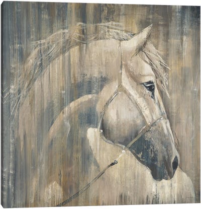 His Majesty Canvas Art Print - Horse Art