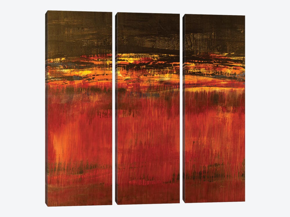 Molten Lava by Liz Jardine 3-piece Canvas Print
