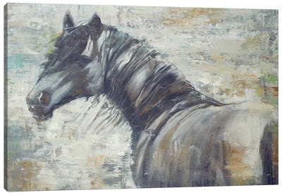 On The Wind Canvas Art Print - Farm Animal Art