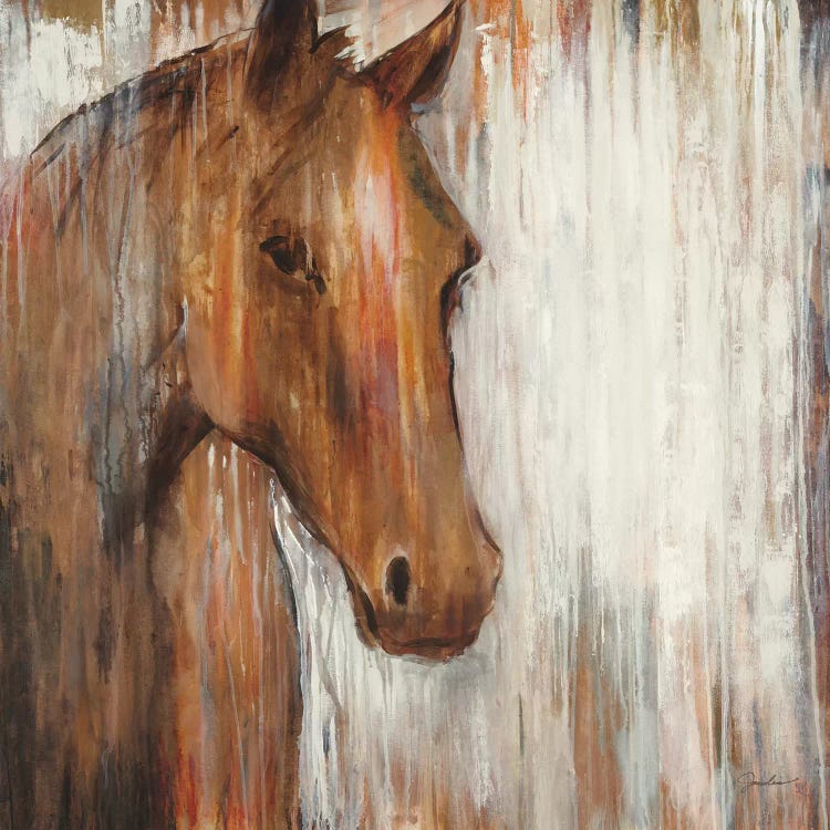 Painted Pony by Liz Jardine wall art