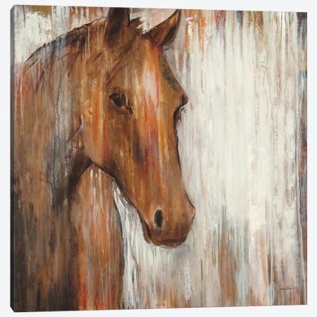 Painted Pony Canvas Print #JAR92} by Liz Jardine Canvas Art