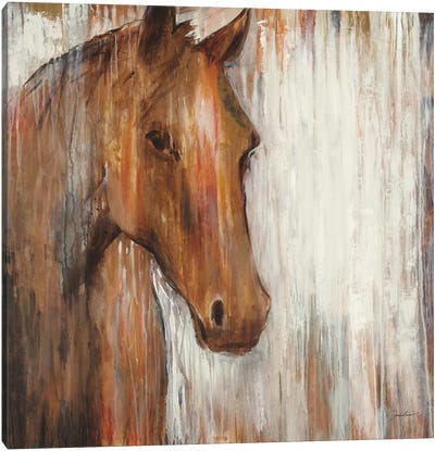 Painted Pony Canvas Art Print - Liz Jardine