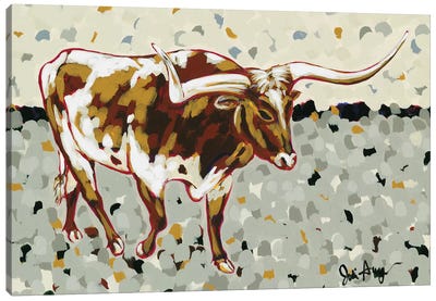Longhorn Steer Canvas Art Print