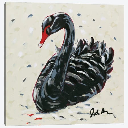 Black Swan Canvas Print #JAU21} by Jodi Augustine Canvas Artwork
