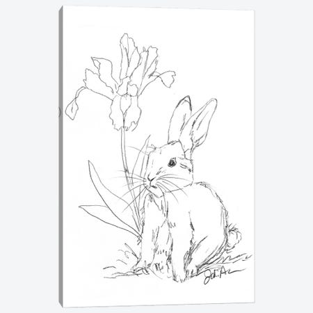Bunny Sketch Iris Canvas Print #JAU23} by Jodi Augustine Canvas Artwork