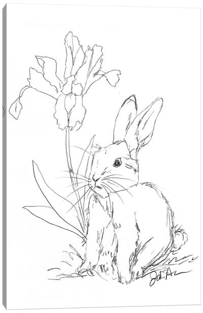Bunny Sketch Iris Canvas Art Print