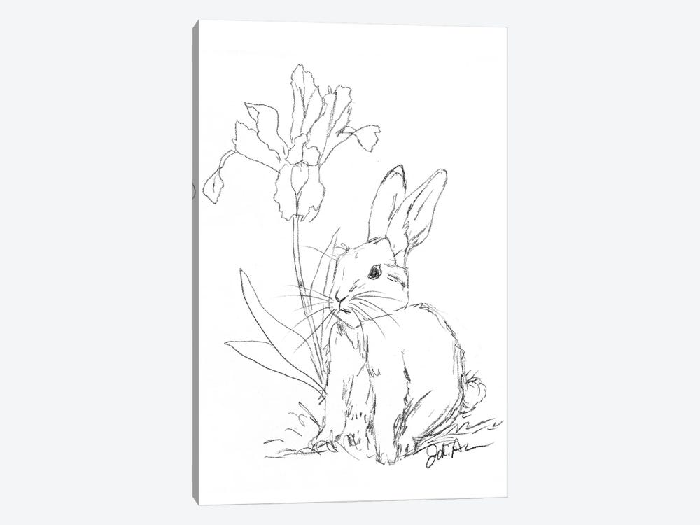 Bunny Sketch Iris by Jodi Augustine 1-piece Canvas Print