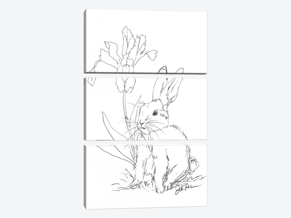 Bunny Sketch Iris by Jodi Augustine 3-piece Canvas Print