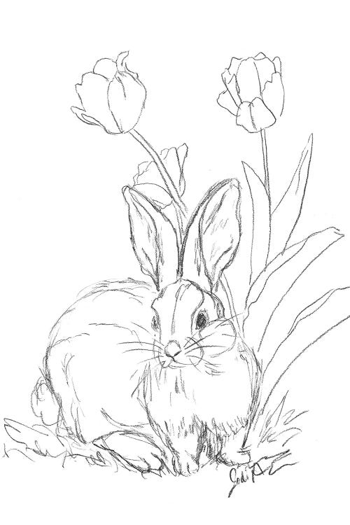 Bunny Sketch Tulip by Jodi Augustine wall art