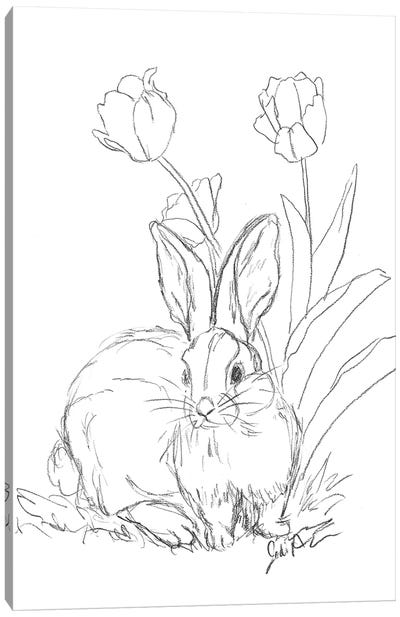 Bunny Sketch Tulip Canvas Art Print