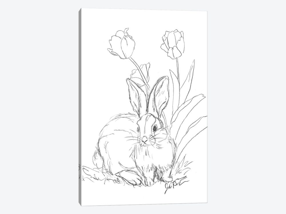 Bunny Sketch Tulip by Jodi Augustine 1-piece Canvas Artwork