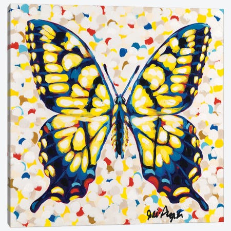 Pop Butterfly I Canvas Print #JAU32} by Jodi Augustine Art Print
