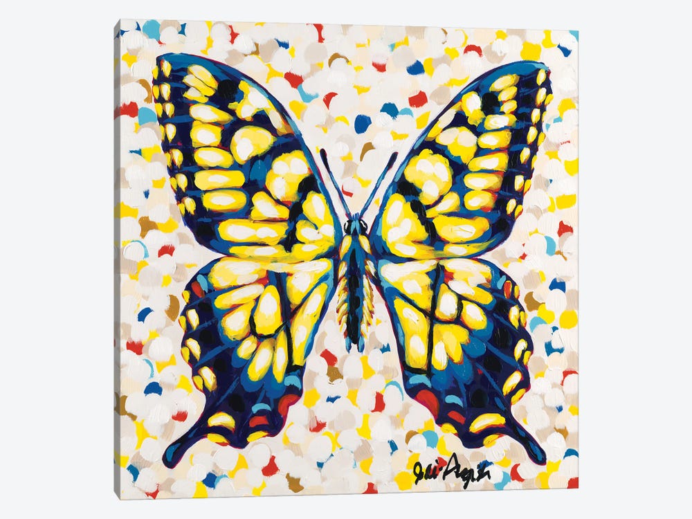 Pop Butterfly I by Jodi Augustine 1-piece Canvas Print