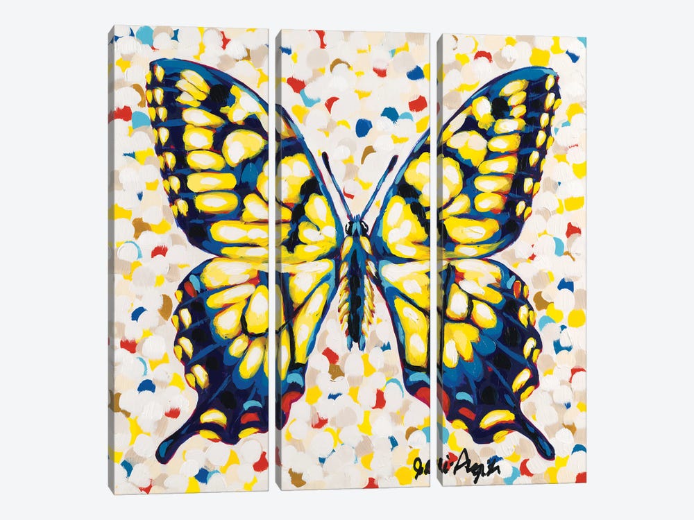 Pop Butterfly I by Jodi Augustine 3-piece Canvas Print
