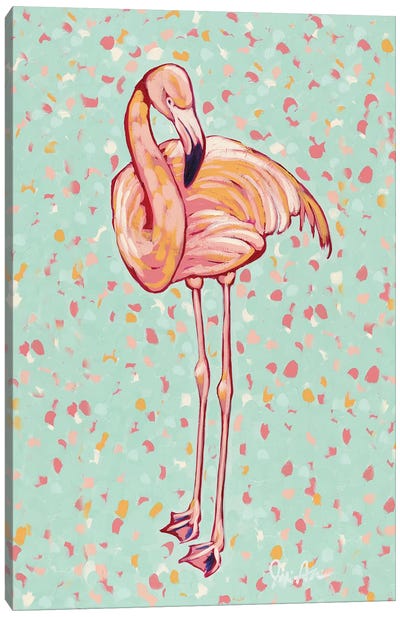 Flamingo Portrait I Canvas Art Print