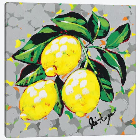 Fruit Sketch Lemons Canvas Print #JAU5} by Jodi Augustine Canvas Art Print
