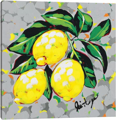Fruit Sketch Lemons Canvas Art Print