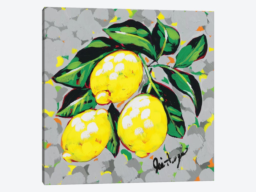 Fruit Sketch Lemons by Jodi Augustine 1-piece Canvas Art Print