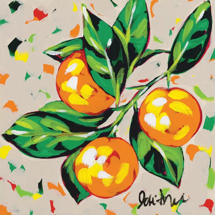 Fruit Sketch Oranges