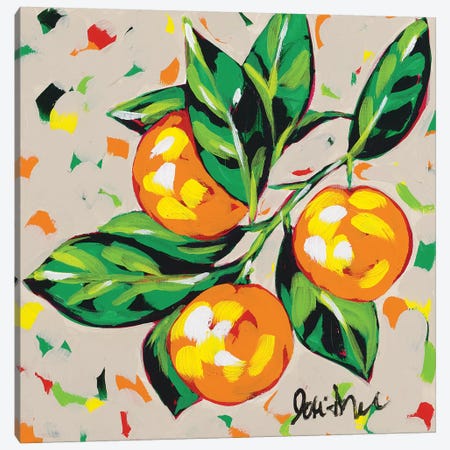 Fruit Sketch Oranges Canvas Print #JAU6} by Jodi Augustine Art Print