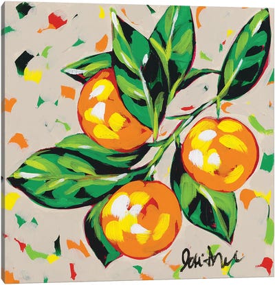 Fruit Sketch Oranges Canvas Art Print