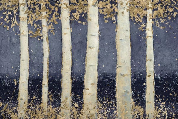 Aspen Trees | Birch Trees: Magnificent Birch Grove Indigo by James Wiens