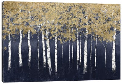 Shimmering Forest Indigo Canvas Art Print - Aspen and Birch Trees