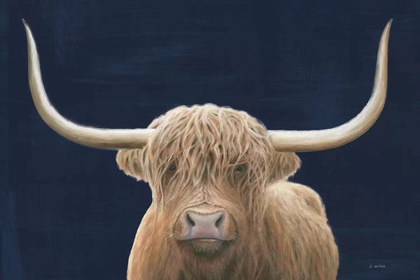 Farm Animals: Highland Cow Navy by James Wiens