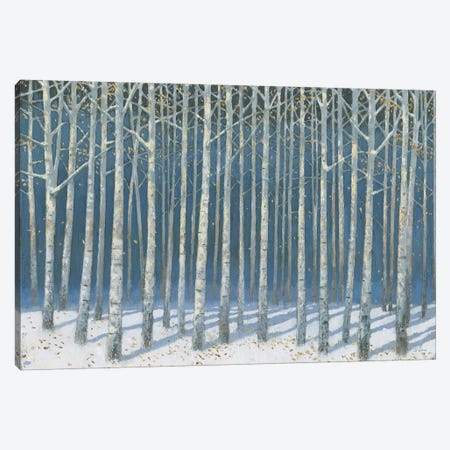 Shimmering Birches Canvas Print #JAW117} by James Wiens Canvas Art