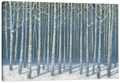 Shimmering Birches Canvas Art Print - Birch Tree Art